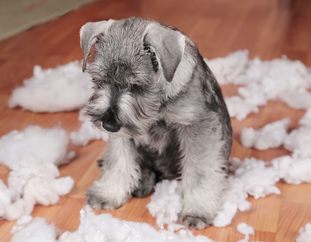 F Around and Find Out